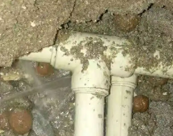 太白测漏水多少钱