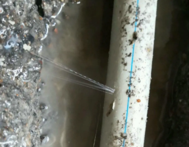 太白测漏水哪家好