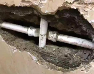 太白测漏水哪家好