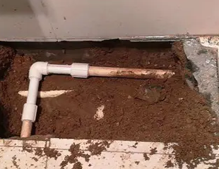 太白测漏水哪家好