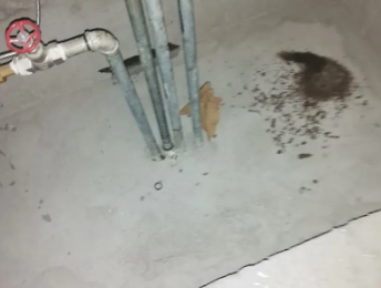 太白卫生间测漏水价格明细