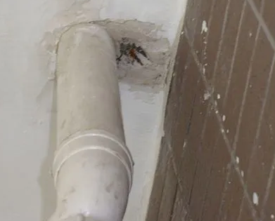 太白漏水检测哪家好